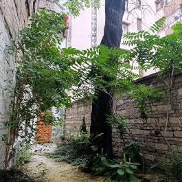 Gettófal Kiállítás Budapest - Egyéb