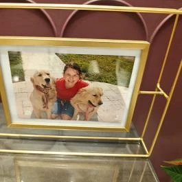 Ginger & Paris, Budapest - Egyéb