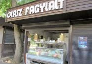 Gino Ginelli Mátrafüred