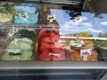 Gino Ginelli Mátrafüred