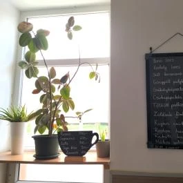 Góbé Faloda Budapest - Belső