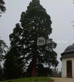 Gödöllői Királyi Kastély