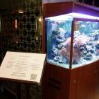 Gold Bisztró Budapest - Belső