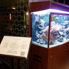 Gold Bisztró Budapest - Belső