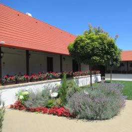 Gólyafészek Cukrászda Ócsa - Egyéb