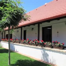 Gólyafészek Cukrászda Ócsa - Egyéb