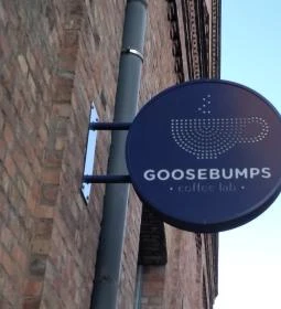 Goosebumps Coffee Lab
