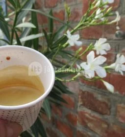 Goosebumps Coffee Lab