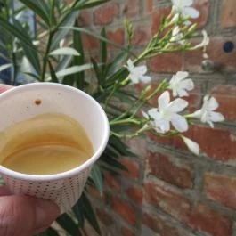 Goosebumps Coffee Lab Budapest - Egyéb