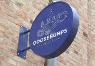 Goosebumps Coffee Lab Budapest