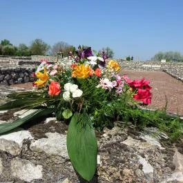 Gorsium Szabadtéri Múzeum - Régészeti Park Székesfehérvár - Egyéb