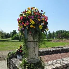 Gorsium Szabadtéri Múzeum - Régészeti Park Székesfehérvár - Egyéb