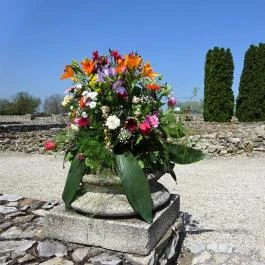 Gorsium Szabadtéri Múzeum - Régészeti Park Székesfehérvár - Egyéb