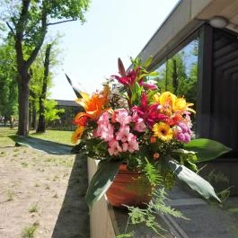 Gorsium Szabadtéri Múzeum - Régészeti Park Székesfehérvár - Egyéb