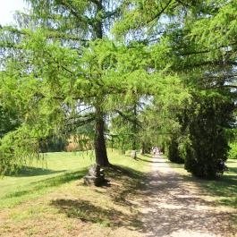 Gorsium Szabadtéri Múzeum - Régészeti Park Székesfehérvár - Egyéb