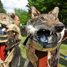 Gorsium Szabadtéri Múzeum - Régészeti Park Székesfehérvár - Egyéb