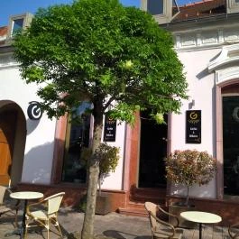 Gottwald Cafe Tata - Külső kép