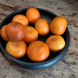 Gottwald Hotel étterme Tata - Étel/ital