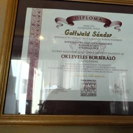 Gottwald Hotel étterme Tata - Egyéb