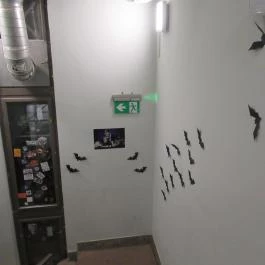 Grand Café Szeged - Egyéb