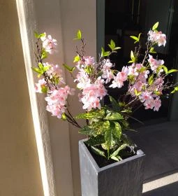 Grand Hotel Glorius étterme