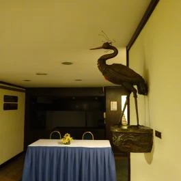 Hotel Hungaria City Center Budapest - Belső