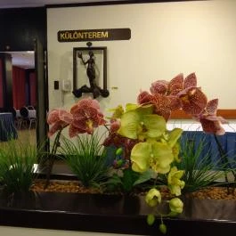 Hotel Hungaria City Center Budapest - Belső