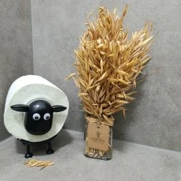 Gray Specialty Cafe & Bar, Budapest - Mosdó