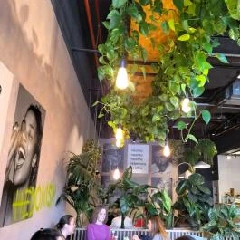 Greenhabit Budapest Budapest - Belső