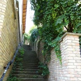 Gül Baba Türbe és Rózsakert Budapest - Egyéb