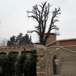 Gül Baba Türbe és Rózsakert Budapest - Egyéb