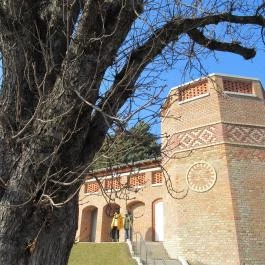 Gül Baba Türbe és Rózsakert Budapest - Egyéb