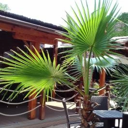 Gulliver Étterem, Pizzéria, Kávézó Budapest - Külső kép