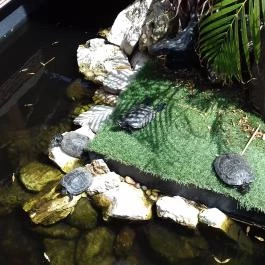 Gulliver Étterem, Pizzéria, Kávézó Budapest - Külső kép