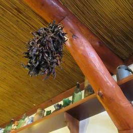 Gulyás Csárda Visegrád - Egyéb