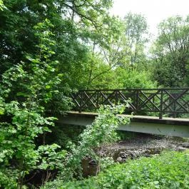 Gyermektábor - Bernecebaráti Bernecebaráti - Környék