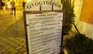 Gyógygödör Borozó Sopron - Étlap/itallap