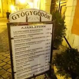 Gyógygödör Borozó Sopron - Étlap/itallap