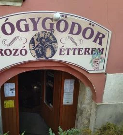 Gyógygödör Borozó