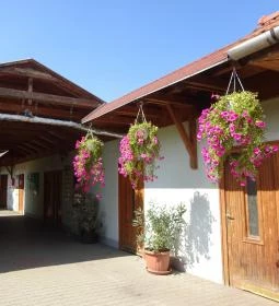 Gyöngyösi Állatkert