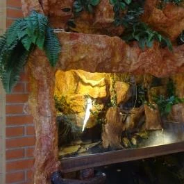 Gyöngyösi Állatkert Büféje Gyöngyös - Belső