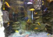 Gyöngyösi Állatkert Büféje Gyöngyös