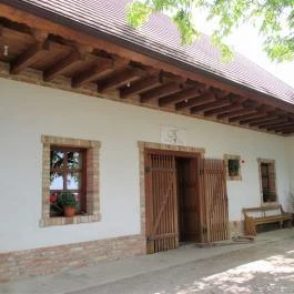 Györkönyi Pincehegy, Györköny - Egyéb