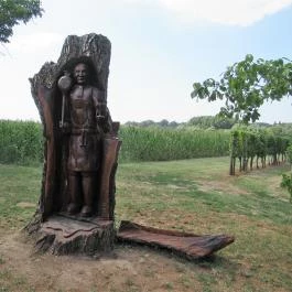 Györkönyi Pincehegy, Györköny - Egyéb