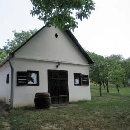 Györkönyi Pincehegy, Györköny - Egyéb