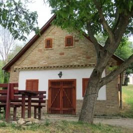 Györkönyi Pincehegy, Györköny - Egyéb