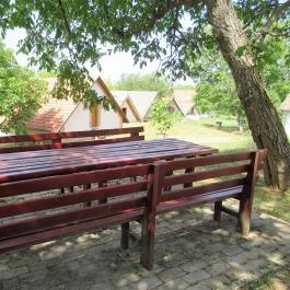 Györkönyi Pincehegy, Györköny - Egyéb