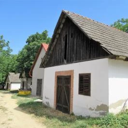 Györkönyi Pincehegy, Györköny - Egyéb