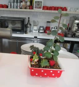 Győrvár Tejbolt & Tejivó