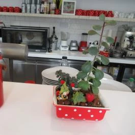 Győrvár Tejbolt & Tejivó, Kőszeg - Belső